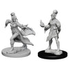 Pathfinder Deep Cuts Unpainted Miniatures: W01 Elf Female Sorcerer - Sweets and Geeks