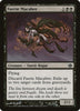 Faerie Macabre - Duel Decks: Garruk vs. Liliana - #42/63