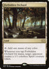 Forbidden Orchard - Double Masters 2022 - #323/331