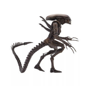 Aliens Resurrection: Xenomorph Warrior Action Figure - Sweets and Geeks