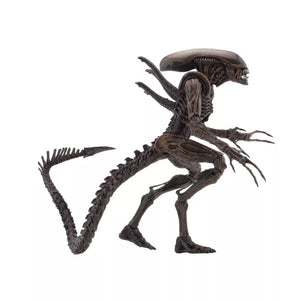 Aliens Resurrection: Xenomorph Warrior Action Figure - Sweets and Geeks