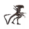 Alien Resurrection: Alien Warrior Figure - Sweets and Geeks