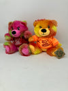 Tie Dye Bear w/ Sweets & Geeks Hoodie Assortment