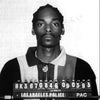 Snoop Dogg - Mugshot (12" x 12" Poster)