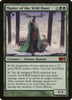 Master of the Wild Hunt - Magic 2010 - #191/249