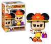 Funko Minnie Mouse Disney #1219