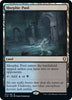 Morphic Pool (Foil) - Commander Legends: Battle for Baldur's Gate - #357/361