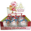 Strawberry Shortcake Berry Merry Holiday 1.5oz Tin