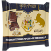 Harry Potter Caramel Popcorn Milk Chocolate Bar 1.41oz
