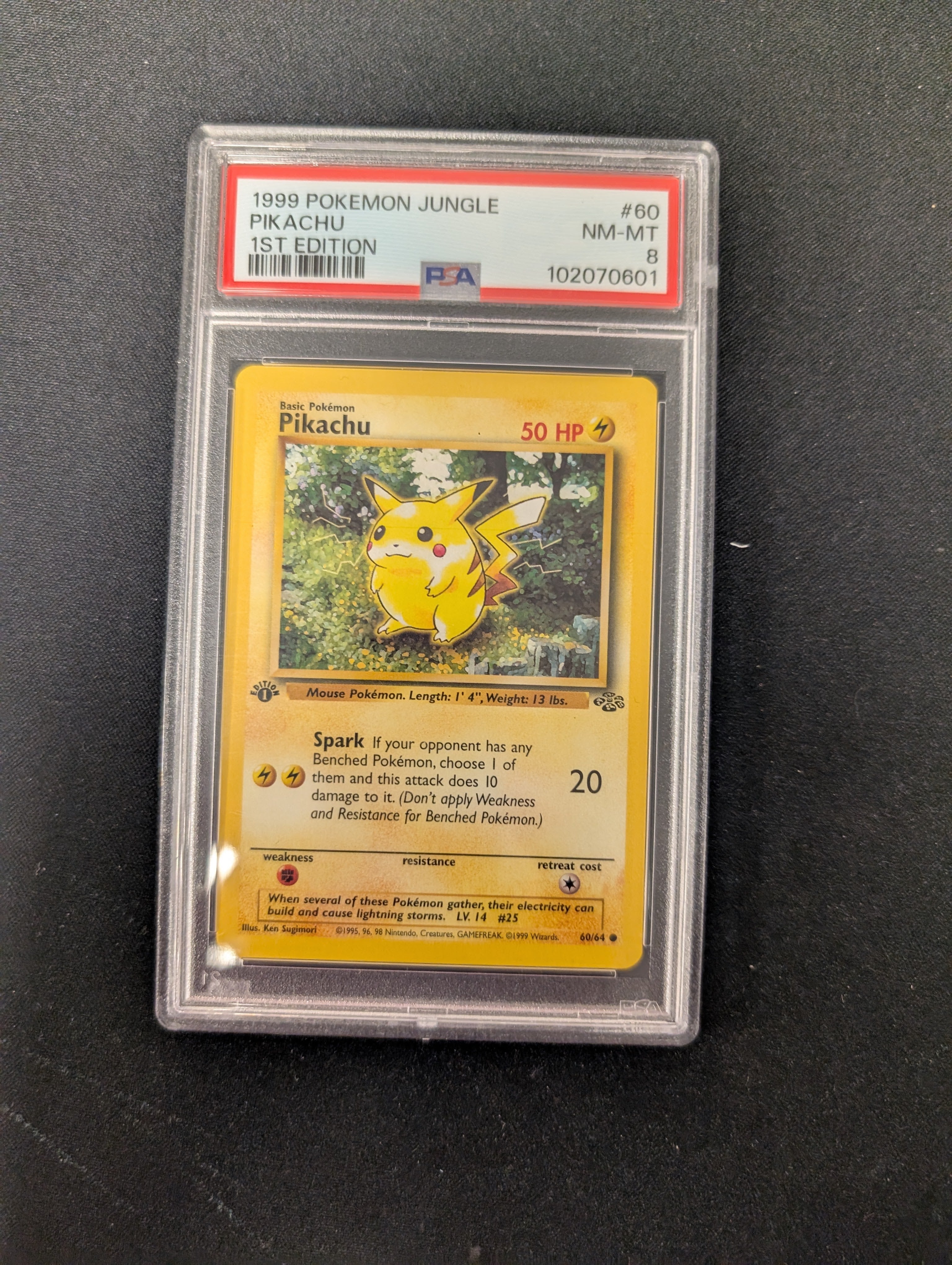 illustration pokemon cards First Partner Illustration Collection Series 1