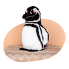 The Passage Plush - Penguin