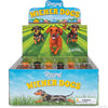 Racing Wiener Dogs (SNG24)