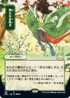 Regrowth (JP Alternate Art) (Foil) - Strixhaven: Mystical Archives - #119