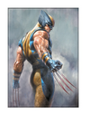 Marvel Wolverine 3 Magnet - Sweets and Geeks