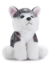 Husky 9" Plush