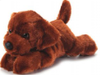 Scoopz Chocolate Lab 8" Plush