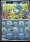Panpour (Master Ball) - Black Bolt - 017/086 - English