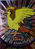 Pidgeot (Silver Full Rays Holo) #18 - Pokemon Topps Black Tag