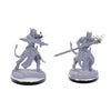 Dungeons & Dragons Nolzur's Marvelous Unpainted Miniature: W22 Tiefling Warlocks