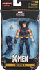 Marvel Legends Series Weapon X Action Figure