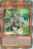 Wynn the Wind Channeler (1st Edition) (Quarter Century Secret Rare) - 25th Anniversary Rarity Collection - #RA01-EN018