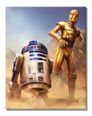 Star Wars C-3P0 & R2D2 Metal Sign - Sweets and Geeks