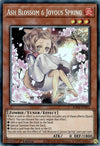Ash Blossom & Joyous Spring (1st Edition) (Alternate Art) (PCR) - RA04-EN025