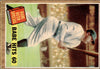 Babe Ruth 1962 Topps Babe Hits 60 #139 - Babe Ruth Special - actual card front