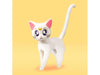Sailor Moon: Sailor Venus (Animation Color Edition) "Pretty Guardian Sailor Moon", S.H. Figuarts