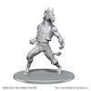 Dungeons & Dragons: Nolzur's Marvelous Unpainted Miniature - W28 Equinal Guardinal
