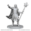 Dungeons & Dragons: Nolzur's Marvelous Unpainted Miniature - W28 Drow Mage and Yochlol