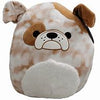 Squishmallow - Bronk the Bulldog 3.5"