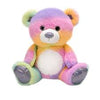Rainbow Sherbet - 10.5" Sitting Bear Plush