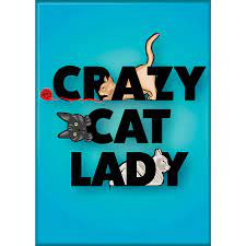 Well.... This is Awkward Cat Lady Magnet - Sweets and Geeks