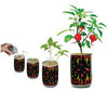 Magic Plant Carolina Reaper Pepper Plant 3oz Can (SNG12)