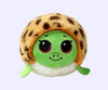 Bouncer: Cruiser the Green Turtle