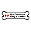 Bone Magnet - Cavalier King Charles