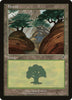 Forest (Foil) - Invasion #349/350