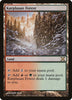 Karplusan Forest - 10th Edition #354/383