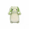 Squishmallows - Hugmees Hara the Green Rabbit