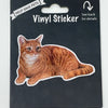 Orange Tabby, Vinyl Sticker