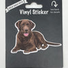 Labrador, Chocolate, Vinyl Sticker