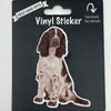 Springer Spaniel, Vinyl Sticker