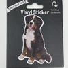 Bernese Mt. Dog, Vinyl Sticker