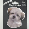 Shihpoo, Vinyl Sticker