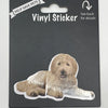 Goldendoodle Laying, Vinyl Sticker