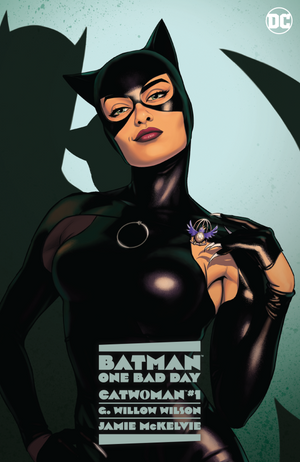 Batman One Bad Day Catwoman Hard Cover - Sweets and Geeks