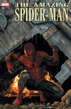 The Amazing Spider-Man #14 (Lee Bermejo Amazing Visions Variant)