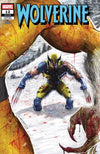 Wolverine #12