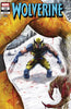 Wolverine #12
